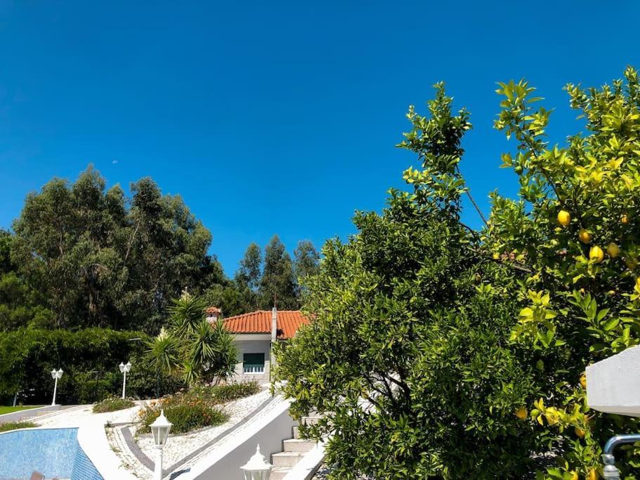 Maison Familiale De Caractere Avec Piscine Padronelo Екстериор снимка